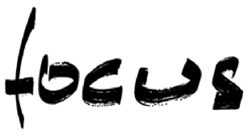 logo focus
