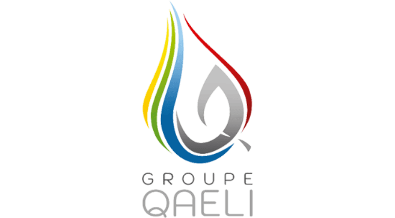 logo groupe QUAELI
